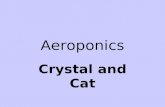 Aeroponics Crystal and Cat. What is an aeroponics system? Aeroponics is a hydroponic system in which plant roots are suspended in air and misted with.