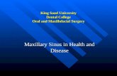 King Saud University Dental College Oral and Maxillofacial Surgery Maxillary Sinus in Health and Disease.
