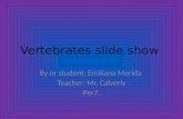 Vertebrates slide show By or student: Emiliana Merida Teacher: Mr. Calverly Per7.