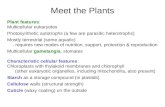 Plant features: Multicellular eukaryotes Photosynthetic autotrophs (a few are parasitic heterotrophs) Mostly terrestrial (some aquatic) - requires new.