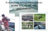 Estimating integrative effects of the H’s on salmon populations.