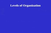 Levels of Organization Cells Levels of Organization Cells: microscopic units of living matter.