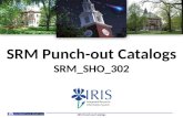 SRM Punch-out Catalogs SRM_SHO_302 SRM Punch-out Catalogs.