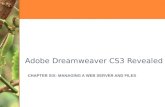 Adobe Dreamweaver CS3 Revealed CHAPTER SIX: MANAGING A WEB SERVER AND FILES.