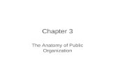 Chapter 3 The Anatomy of Public Organization. Internal Sources of Values Introduction:-  The use of specialized language within an organization socializes.
