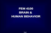 Page 1 FEM 4100 BRAIN & HUMAN BEHAVIOR. Page 2 Topic 3 Neurotransmission: Sending & Receiving Messages.