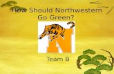 How Should Northwestern Go Green? Team B. Team Members  EmilyDerrick  KristyMadeline  MylesShelby  Brandon  Dakota  Jeff.