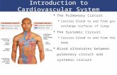 Introduction to Cardiovascular System  The Pulmonary Circuit  Carries blood to and from gas exchange surfaces of lungs  The Systemic Circuit  Carries.