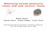 Modulating seizure-permissive states with weak electric fields Marom Bikson Davide Reato, Thomas Radman, Lucas Parra Neural Engineering Laboratory - Department.