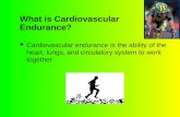 What is Cardiovascular Endurance? Cardiovascular endurance is the ability of the heart, lungs, and circulatory system to work together.