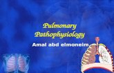 Pulmonary Pathophysiology Amal abd elmoneim. The lungs.