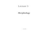 CS 4705 Lecture 3 Morphology. What is morphology? The study of how words are composed of morphemes (the smallest meaning-bearing units of a language)