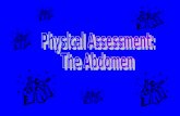 Physical Assessment: The Abdomen Purposes Identifies the anatomical boundaries of the abdomen. Identifies the functions of abdomen auscultation, palpation,