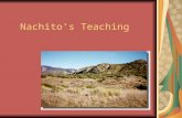 Nachito’s Teaching. Define: Raspy-throated Saddle-colored Diamond-back.