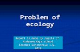 Problem of ecology Report is made by pupils of Andreevskaya school Teacher Goncharova I.G. 2013.