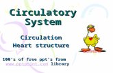 Circulatory System Circulation Heart structure 100’s of free ppt’s from  library .