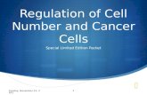Regulation of Cell Number and Cancer Cells Special Limited Edition Packet Tuesday, November 10, 20151.