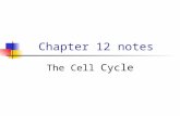 Chapter 12 notes The Cell Cycle. The Key Roles of Cell Division Cell division functions in reproduction, growth, and repair Unicellular organisms (ex.