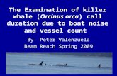 The Examination of killer whale (Orcinus orca) call duration due to boat noise and vessel count By: Peter Valenzuela Beam Reach Spring 2009.
