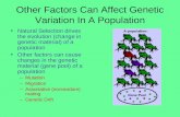 Other Factors Can Affect Genetic Variation In A Population Natural Selection drives the evolution (change in genetic material) of a population Other factors.