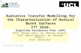 Radiative Transfer Modelling for the Characterisation of Natural Burnt Surfaces ITT 5526: Algorithm Validation Plan (AVP) Prof. Philip Lewis 1, Dr. Mathias.