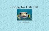 Caring for Fish 101 By: Emeline M.. Table of Contents Introduction What is a Fish? Chapter 1 - Picking Out a Fish Chapter 2 - Types of Fish Chapter 3.