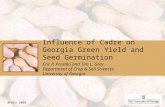 Influence of Cadre on Georgia Green Yield and Seed Germination Eric P. Prostko and Tim L. Grey Department of Crop & Soil Sciences University of Georgia.