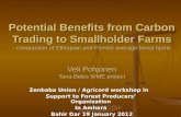 Potential Benefits from Carbon Trading to Smallholder Farms - comparison of Ethiopian and Finnish average forest farms Veli Pohjonen Tana-Beles WME project.