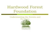 Hardwood Forest Foundation Understanding the Forests and the Trees.