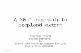 A 30-m approach to cropland extent Cristina Milesi Fourth Workshop On Global Food Security-Support Analysis Data @ 30 m (GFSAD30) 6/25/14.