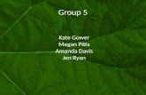 Group 5 Kate Gower Megan Pitts Amanda Davis Jen Ryan.