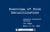 Overview of Risk Securitization Casualty Actuarial Society Las Vegas March 11-13, 2001.