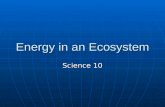 Energy in an Ecosystem Science 10. Capturing Energy From the Sun All living organisms require energy in order to support life All living organisms require.