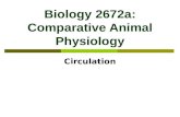 Biology 2672a: Comparative Animal Physiology Circulation.