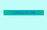 CIRCULATION. THE PROBLEM INTERNAL TRANSPORT –Gases –Nutrients, Wastes –Hormones Rate of Diffusion –Q = DA (C1 - C2) X.