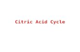 Citric Acid Cycle. Figure 17-2 Citric Acid Cycle.
