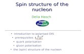 Spin structure of the nucleon introduction to polarised DIS prerequisites quark polarisation the (spin) structure of the nucleon Delia Hasch gluon polarisation.