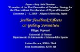Stellar Feedback Effects on Galaxy Formation Filippo Sigward Università di Firenze Dipartimento di Astronomia e Scienza dello Spazio Japan – Italy Joint.
