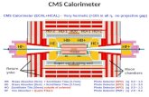 CMS Calorimeter HB Brass Absorber (5cm) + Scintillator Tiles (3.7mm)Photo Detector (HPD) |  | 0.0 ~ 1.4 HE Brass Absorber (8cm) + Scintillator Tiles (3.7mm)Photo.