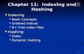 1 Chapter 11: Indexing and Hashing Indexing Indexing Basic Concepts Basic Concepts Ordered Indices Ordered Indices B+-Tree Index Files B+-Tree Index Files.