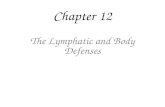 Chapter 12 The Lymphatic and Body Defenses. General – subsystem of circulatory system – functions fight disease clean blood fluid balance – a drainage.