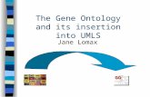 The Gene Ontology and its insertion into UMLS Jane Lomax.