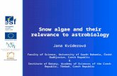 Snow algae and their relevance to astrobiology Jana Kvíderová Faculty of Science, University of South Bohemia, České Budějovice, Czech Republic & Institute.