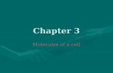 Chapter 3 Molecules of a cell. Quiz 1 Answer the questions that you got wrongAnswer the questions that you got wrong 1.Correct answer 2.Why that is the.
