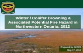 Winter / Conifer Browning & Associated Potential Fire Hazard in Northwestern Ontario, 2012 Prepared by AFFES May 17, 2012.