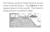 The Sahara and the Sahel stretch across most of North Africa. The Sahara is the largest desert in the world. The Sahel is along Sahara’s southern edge.