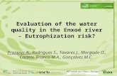 Prazeres A., Rodrigues S., Tavares J., Morgado O., Castelo-Branco M.A., Gonçalves M.C. Evaluation of the water quality in the Enxoé river – Eutrophization.