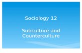 Sociology 12 Subculture and Counterculture. Investigate the existence of subcultures and countercultures in Canadian society. Outcome.