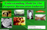 1 Disaster Management & Recovery Understanding Mold In The Property Restoration Industry Presented by: Servpro Industries, Inc.