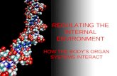REGULATING THE INTERNAL ENVIRONMENT HOW THE BODY’S ORGAN SYSTEMS INTERACT.